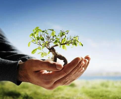 Tôi đang huân tập